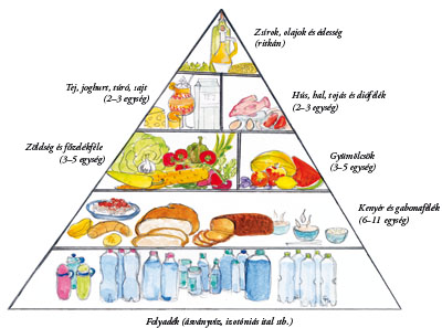 egészséges étrend piramis